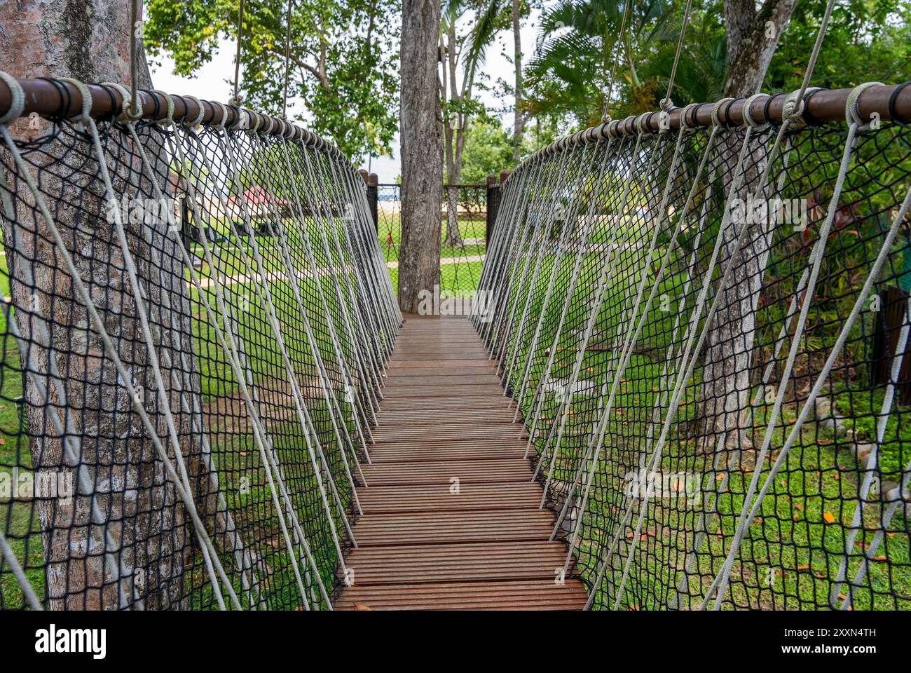 Pont suspendu en bois entouré de verdure luxuriante dans un cadre forestier serein. Banque D'Images