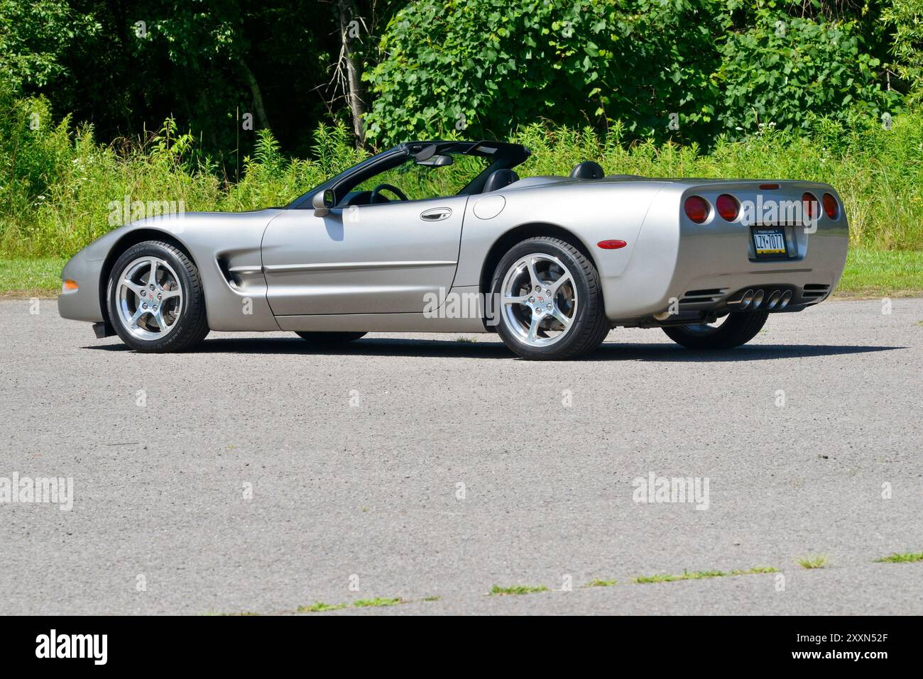Un cabriolet Corvette 2000 étain clair avec sa capote abaissée est stationné sur un fond de bois. Banque D'Images