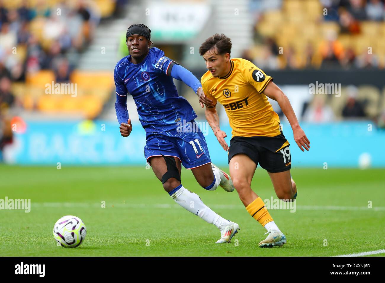 Wolverhampton, Royaume-Uni. 25 août 2024. Noni Madueke de Chelsea (l) et Rodrigo Gomes de Wolves lors du match de premier League entre Wolverhampton Wanderers et Chelsea Credit : MI News & Sport /Alamy Live News Banque D'Images