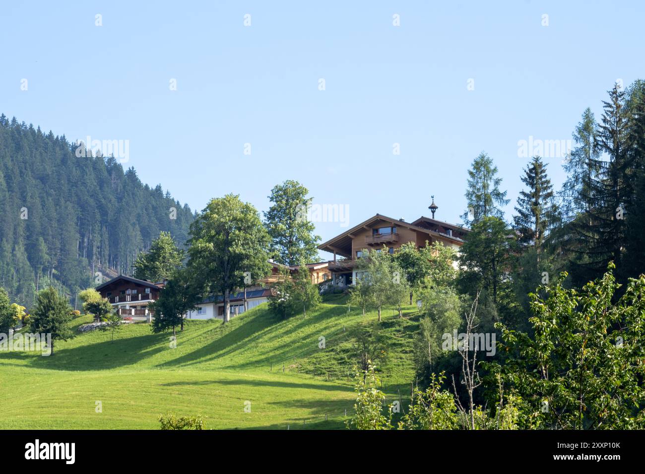 Eben im Pongau, Salzbourg - Autriche. La vue révèle un plateau alpin pittoresque avec de belles maisons, des arbres luxuriants et des prairies verdoyantes. Banque D'Images