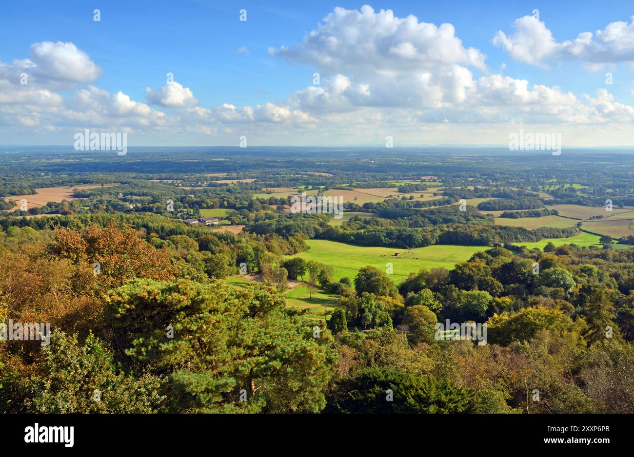 Vue panoramique à partir de Leith Hill dans le Surrey Downs du Sud et Weld à Brighton, Royaume-Uni. Banque D'Images