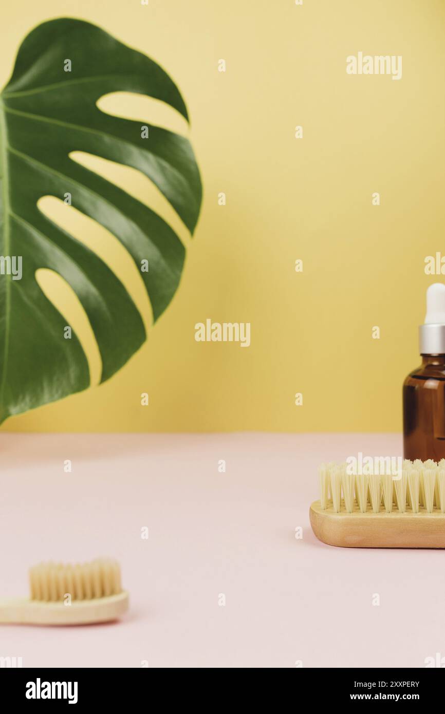 Accessoires de bain naturels, ensemble d'accessoires de bain naturels, produits écologiques. Banque D'Images