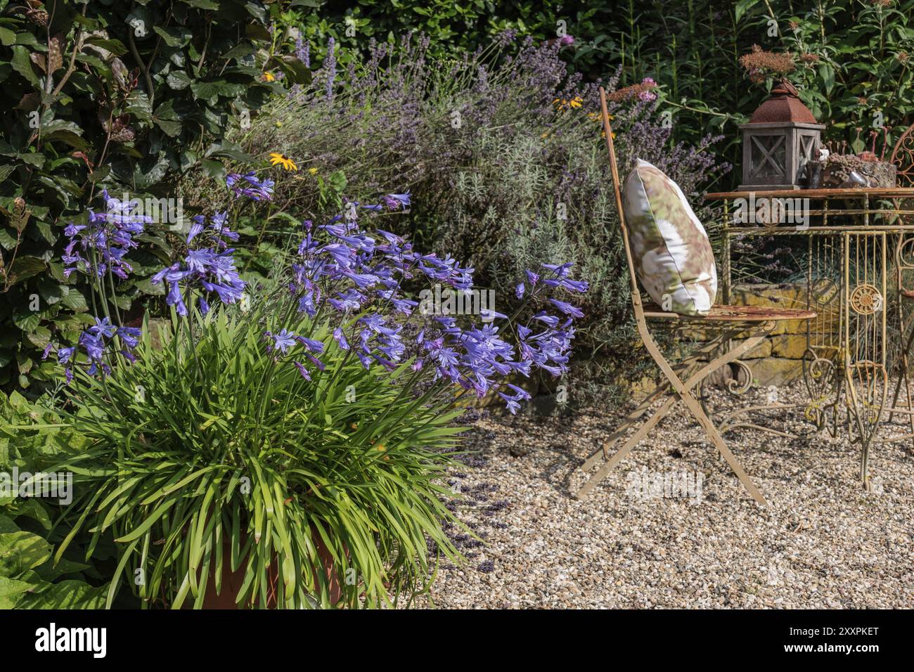 Coin salon de jardin avec fleurs et meubles en fer, entouré de plantes vertes et de lavande, Borken, Rhénanie du Nord-Westphalie, ALLEMAGNE Banque D'Images