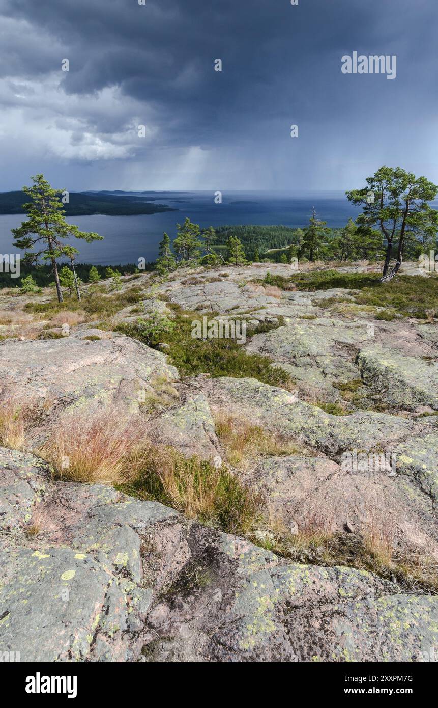 Averses de pluie sur le golfe de Botnie, Parc national de Skuleskogen, site du patrimoine mondial de Hoega Kusten, Vaesternorrland, Suède, juillet 2012, Europe Banque D'Images