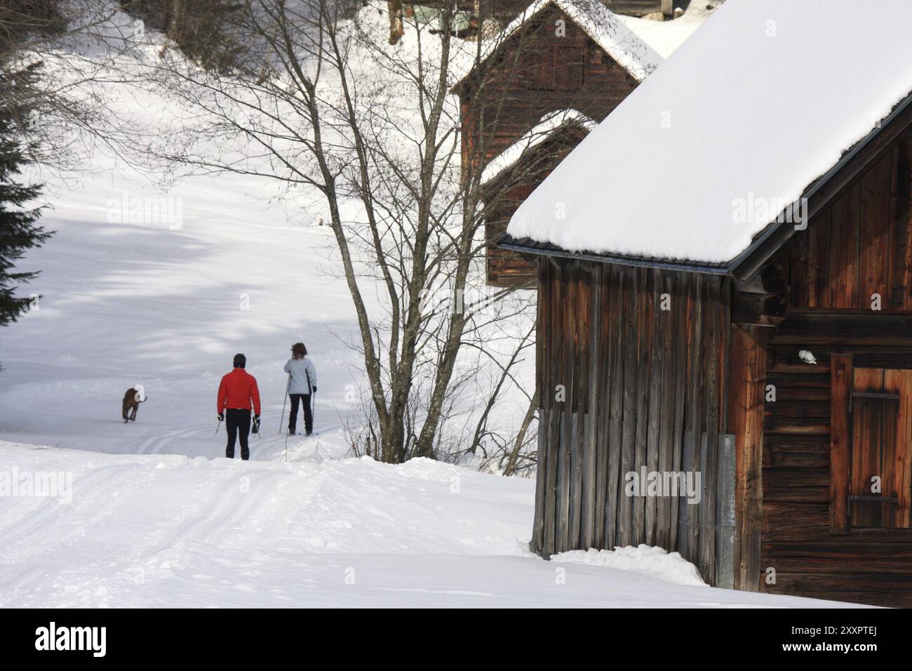 Hiver en Autriche Banque D'Images