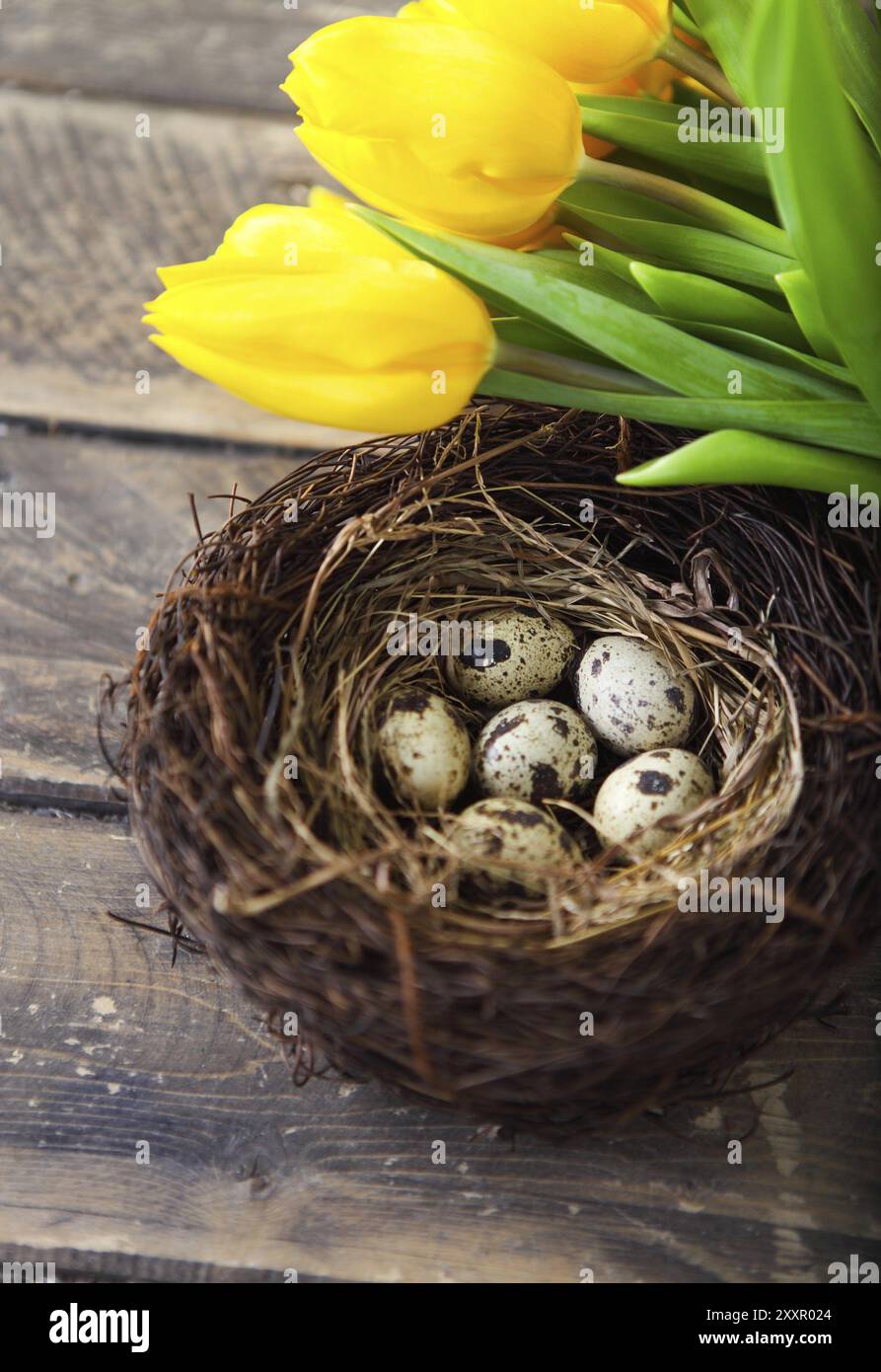 Fleurs pastel, les oeufs de Pâques colorés dans le panier sur la table en bois Banque D'Images