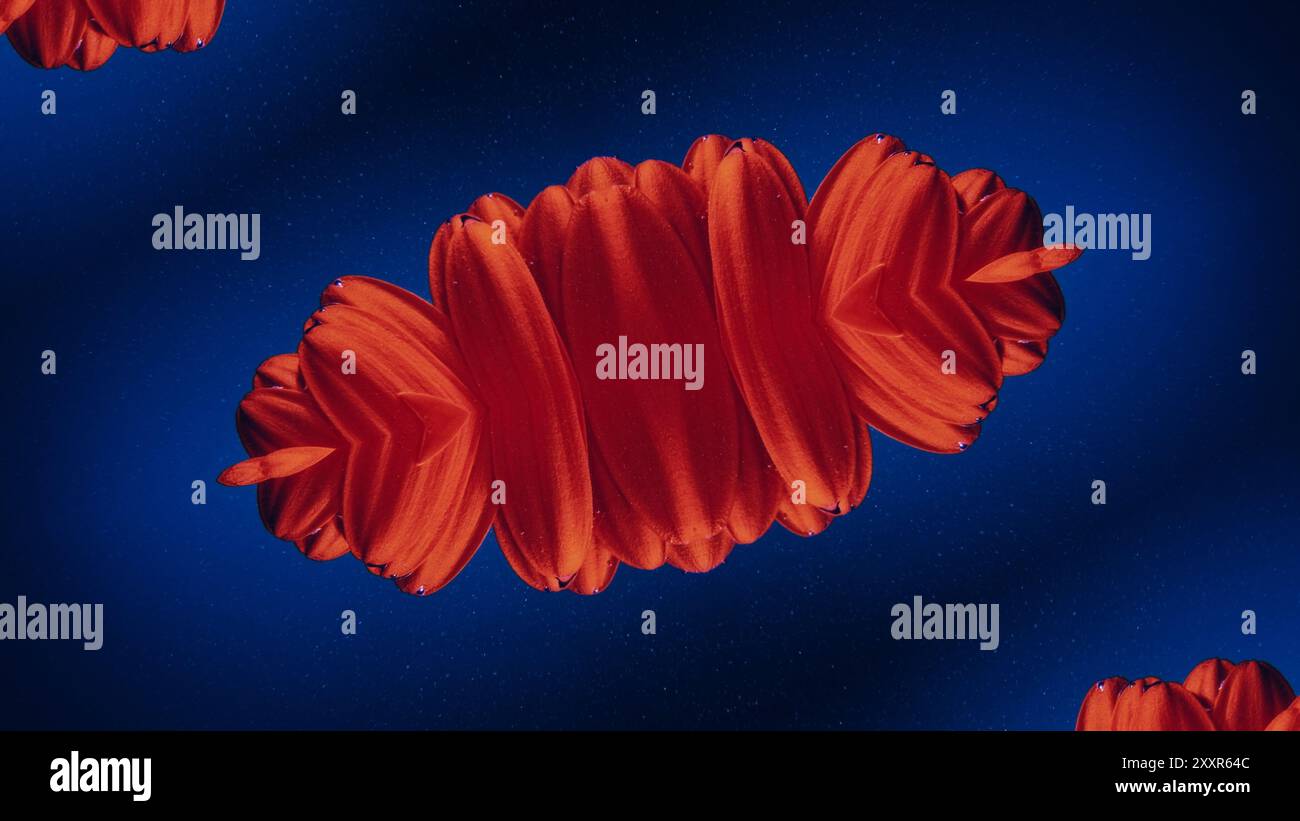 Kaléidoscope floral pétales rouges dans l'eau bleue miroir symétrique illustration d'art design abstrait fond abstrait. Banque D'Images