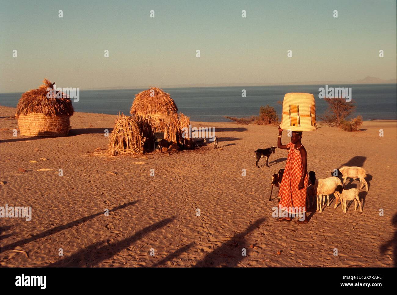 Elyie Springs, Lac Turkana, Kenya Banque D'Images