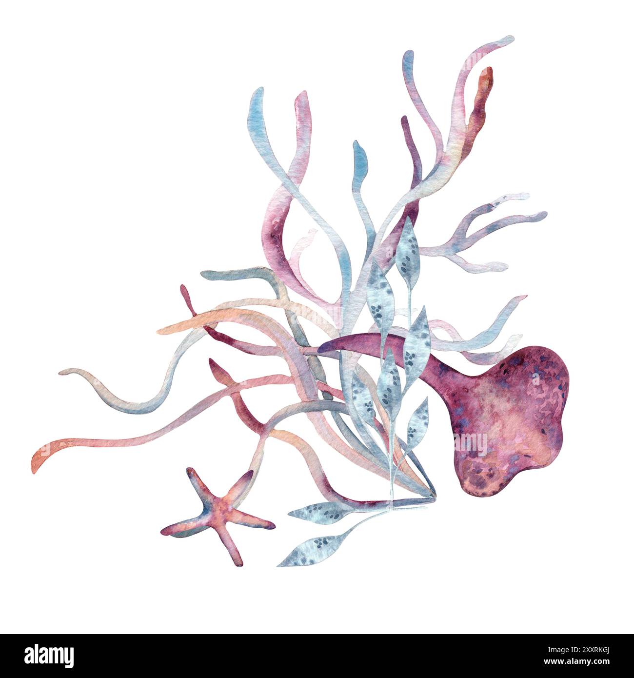 Arrangement sous-marin avec plantes et créatures océaniques à l'aquarelle. Stingray et algues illustration monochrome dessinée à la main dans un rose et bleu. Éclatez Banque D'Images
