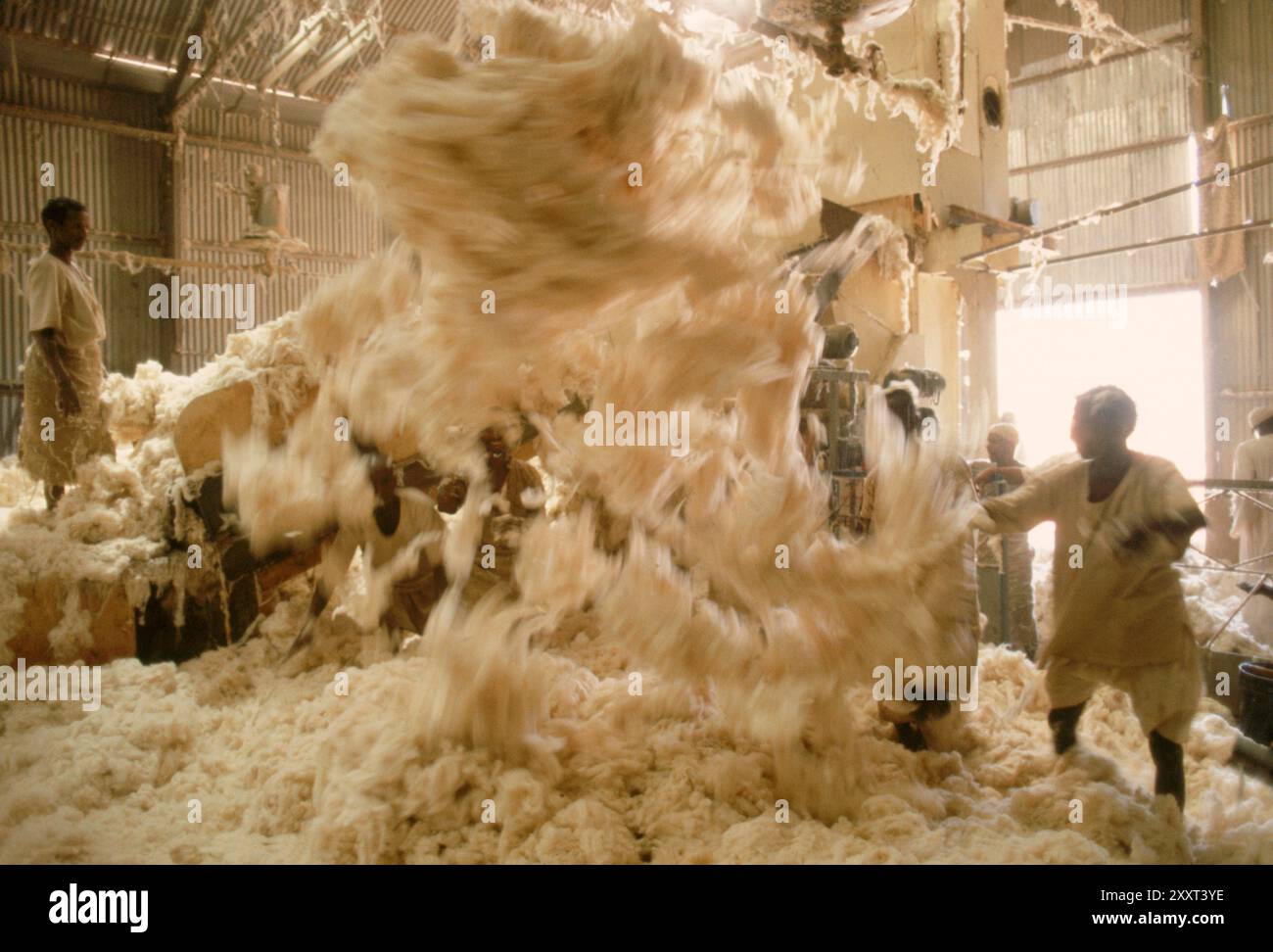 Les ouvriers trient le coton dans une usine, au Soudan. Banque D'Images