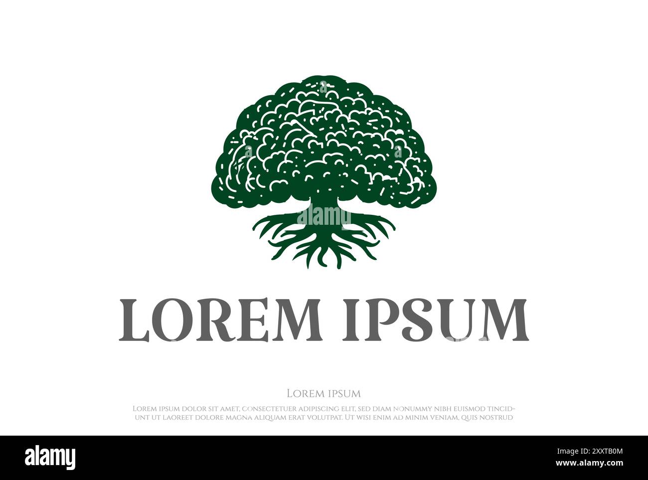 Simple minimaliste Maple Oak Banyan Tree Forest Garden logo Design vecteur Illustration de Vecteur