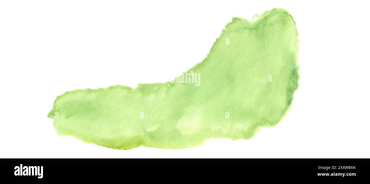 Tache abstraite aquarelle verte douce. Élément de simulation d'herbe texturale naturelle délicate illustration de peinture dessinée à la main. Pour les décors, les designs, l'art. Banque D'Images