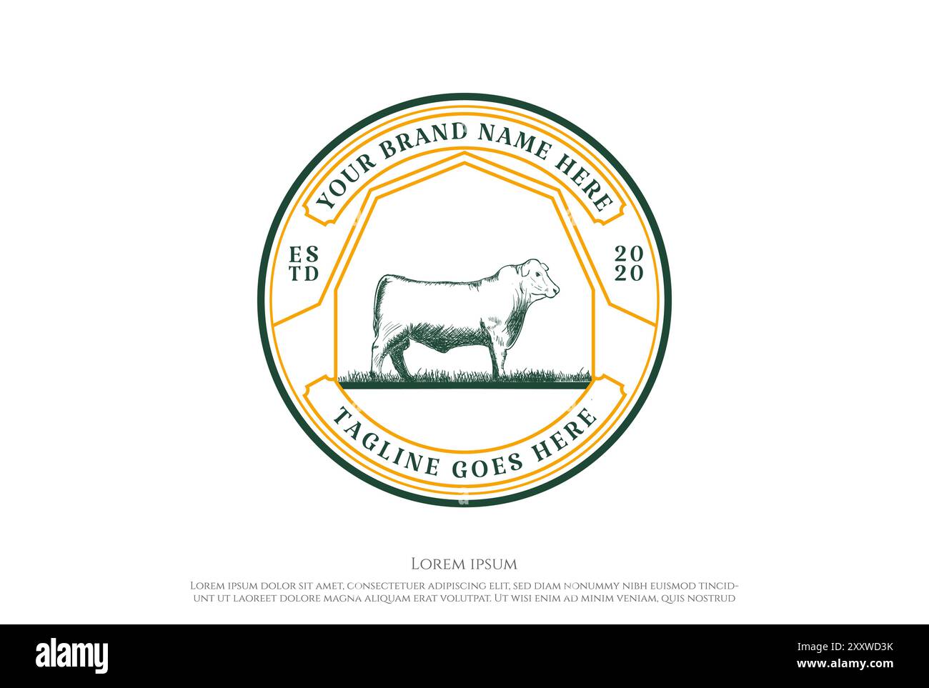 Vintage Retro Angus Cattle pour le vecteur de conception de logo de boeuf Illustration de Vecteur