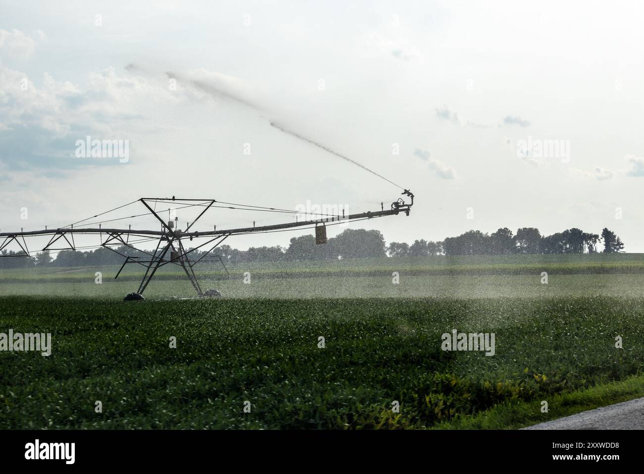 Système d'irrigation Center-pivot arrosant les cultures dans le midwest Banque D'Images