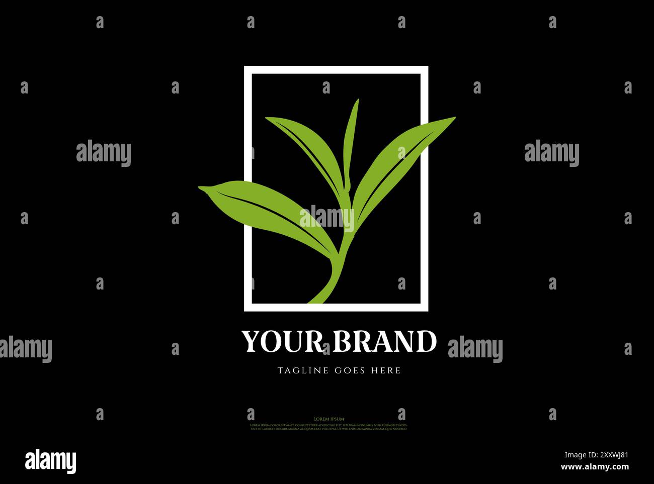 Simple minimaliste Green Tea Leaf Leaves Bud Shoot logo Design Vector Illustration de Vecteur