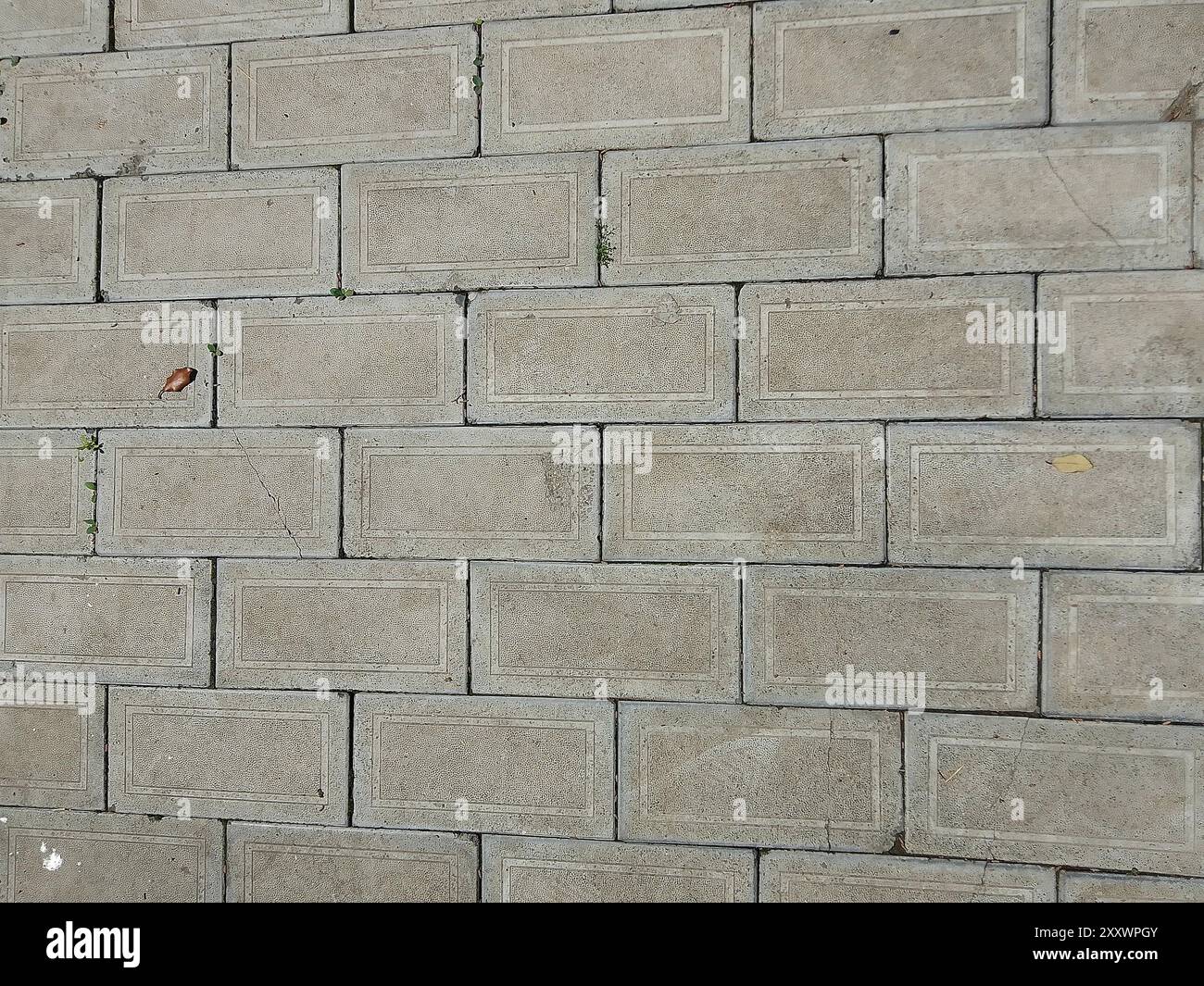 Cette image présente un mur de briques grises robuste, présentant un mélange harmonieux de construction urbaine et de subtiles touches de nature. Les briques sont posées moi Banque D'Images