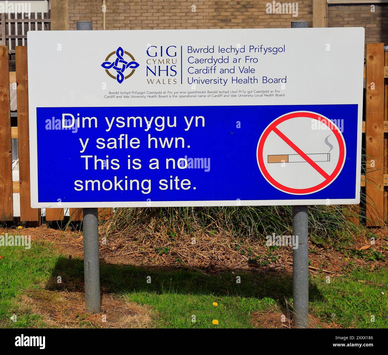 University Hospital of Wales, Heath Hospital - signez pour ne pas fumer sur ce site. Prise en août 2024 Banque D'Images