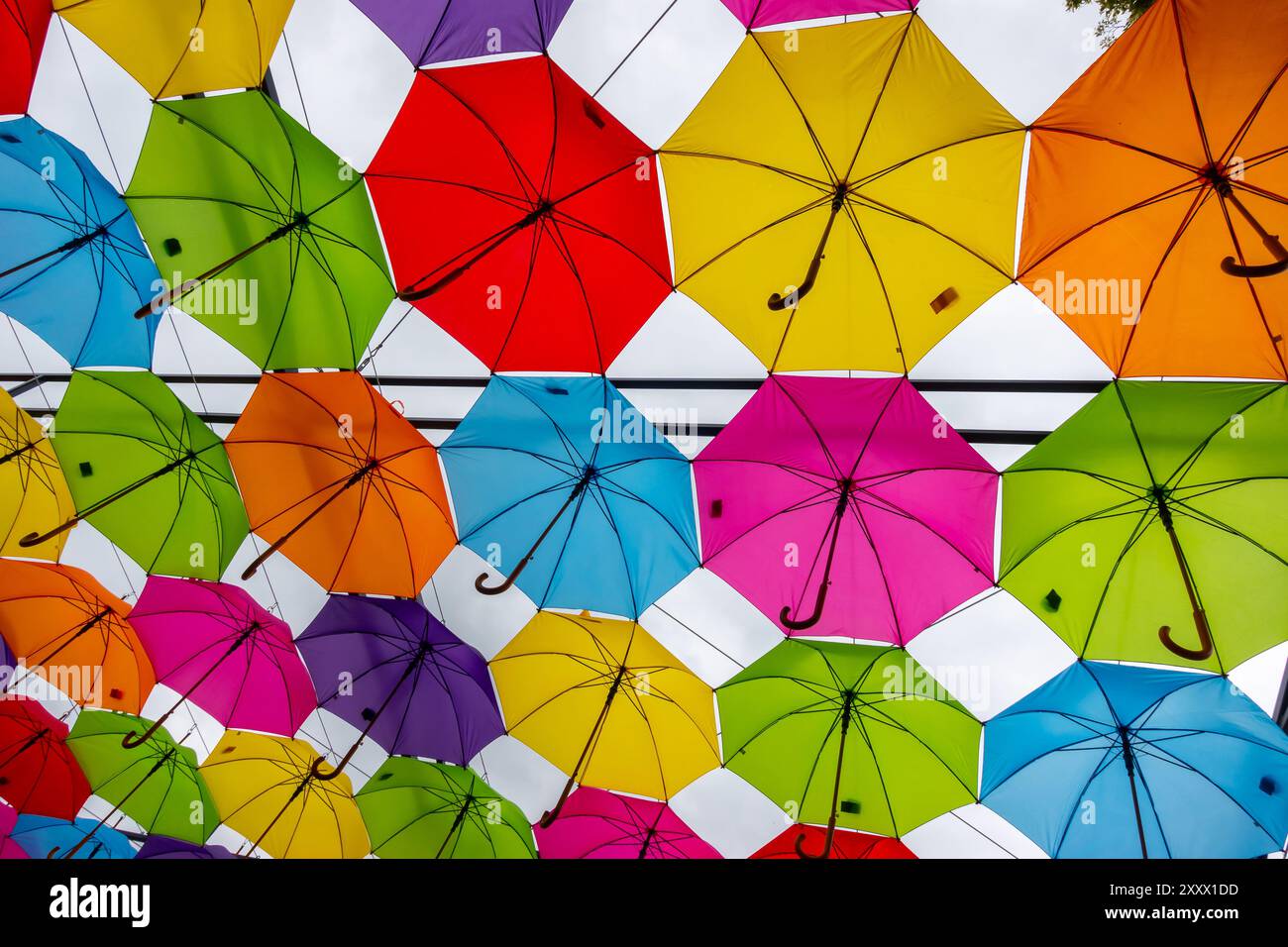 Beaucoup de parapluies colorés contre le ciel. Installation de couleurs vives faite de parapluies photographiés d'en bas. Banque D'Images