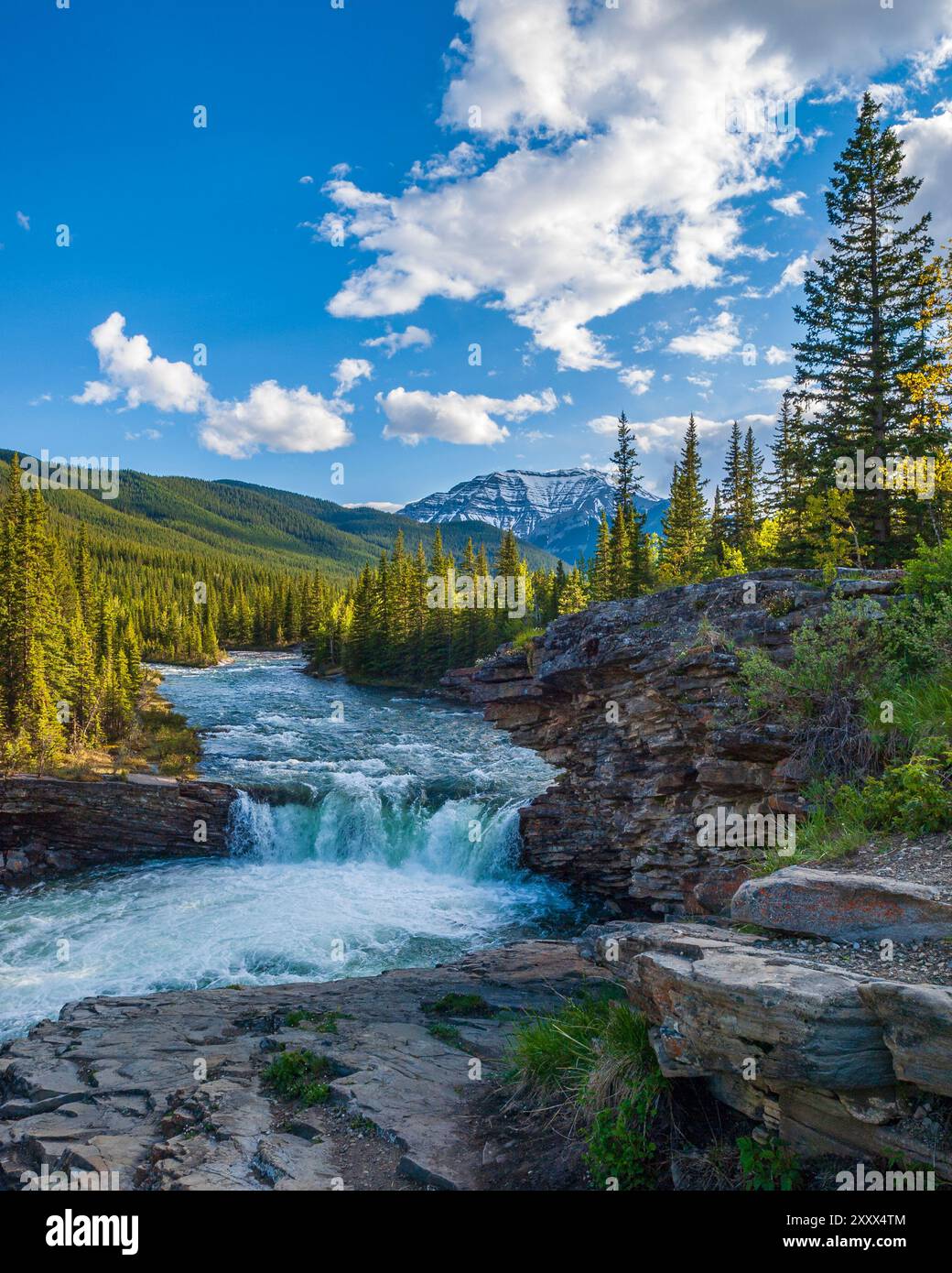 Une chute d'eau sur la rivière Sheep dans le pays de Kananaskis, en Alberta Banque D'Images