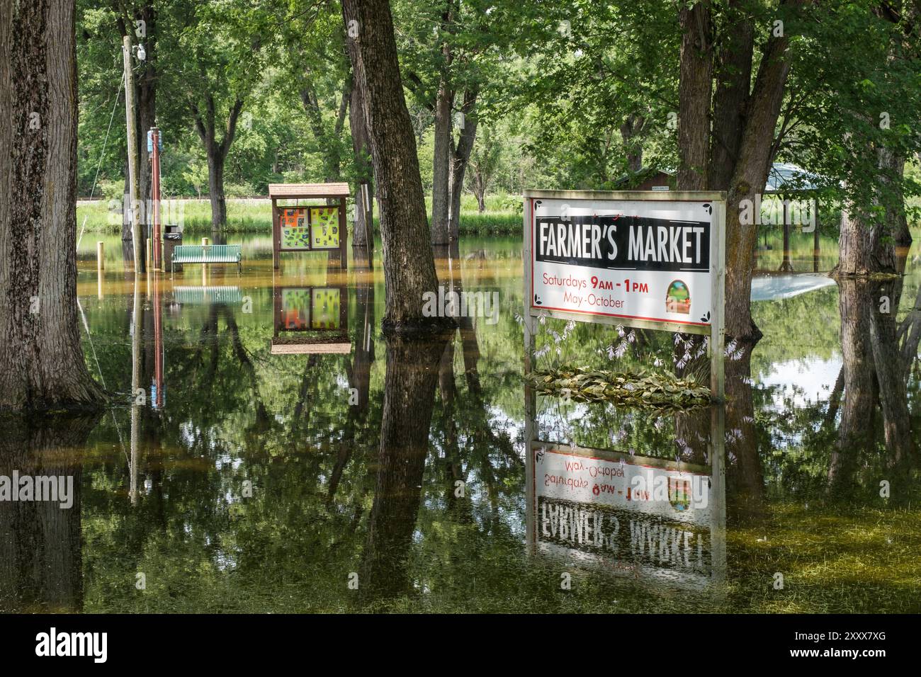 Parc inondé où se tient un marché fermier. Banque D'Images