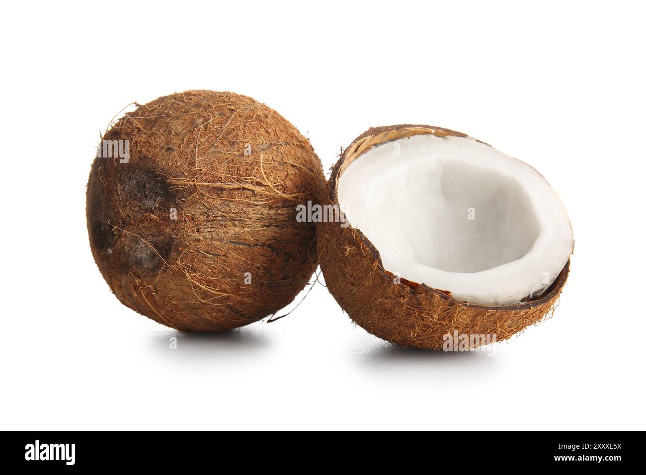 Noix de coco fraîches sur fond blanc Banque D'Images