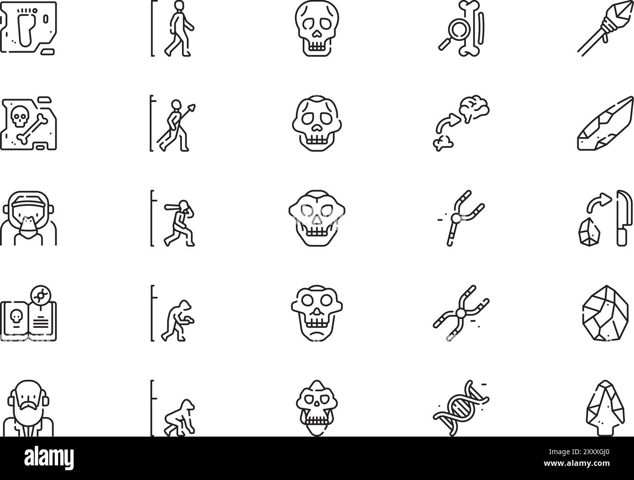 La collection d'icônes d'évolution humaine est une illustration vectorielle avec un trait modifiable. Illustration de Vecteur