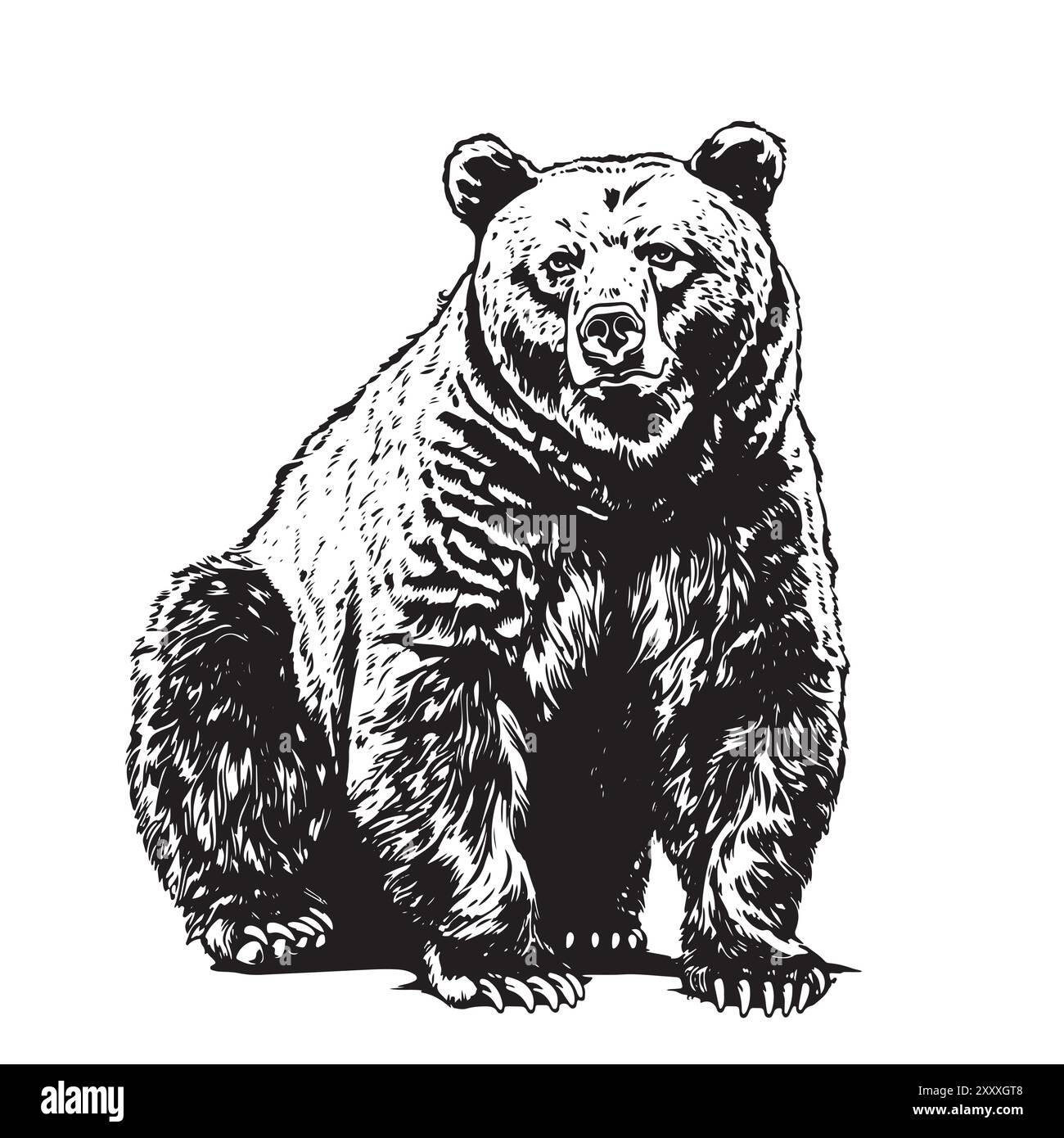 Dessin gravé vintage d'un ours debout à quatre pattes et regardant vers le haut illustration vectorielle isolé sur fond blanc Illustration de Vecteur