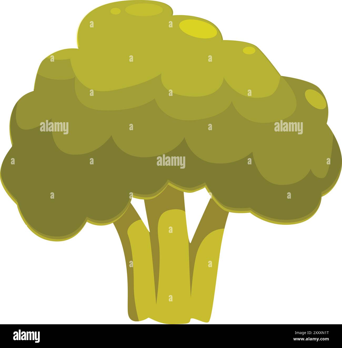 Brocoli de dessin animé avec des tiges épaisses soutenant de grands fleurons Illustration de Vecteur