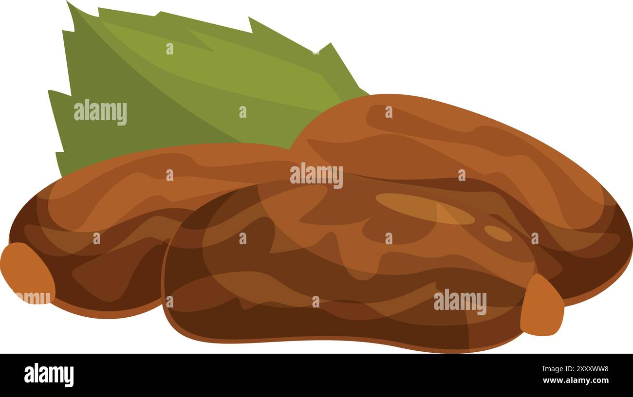 Cette illustration vectorielle montre trois dates couchées avec une feuille verte, isolées sur fond blanc Illustration de Vecteur
