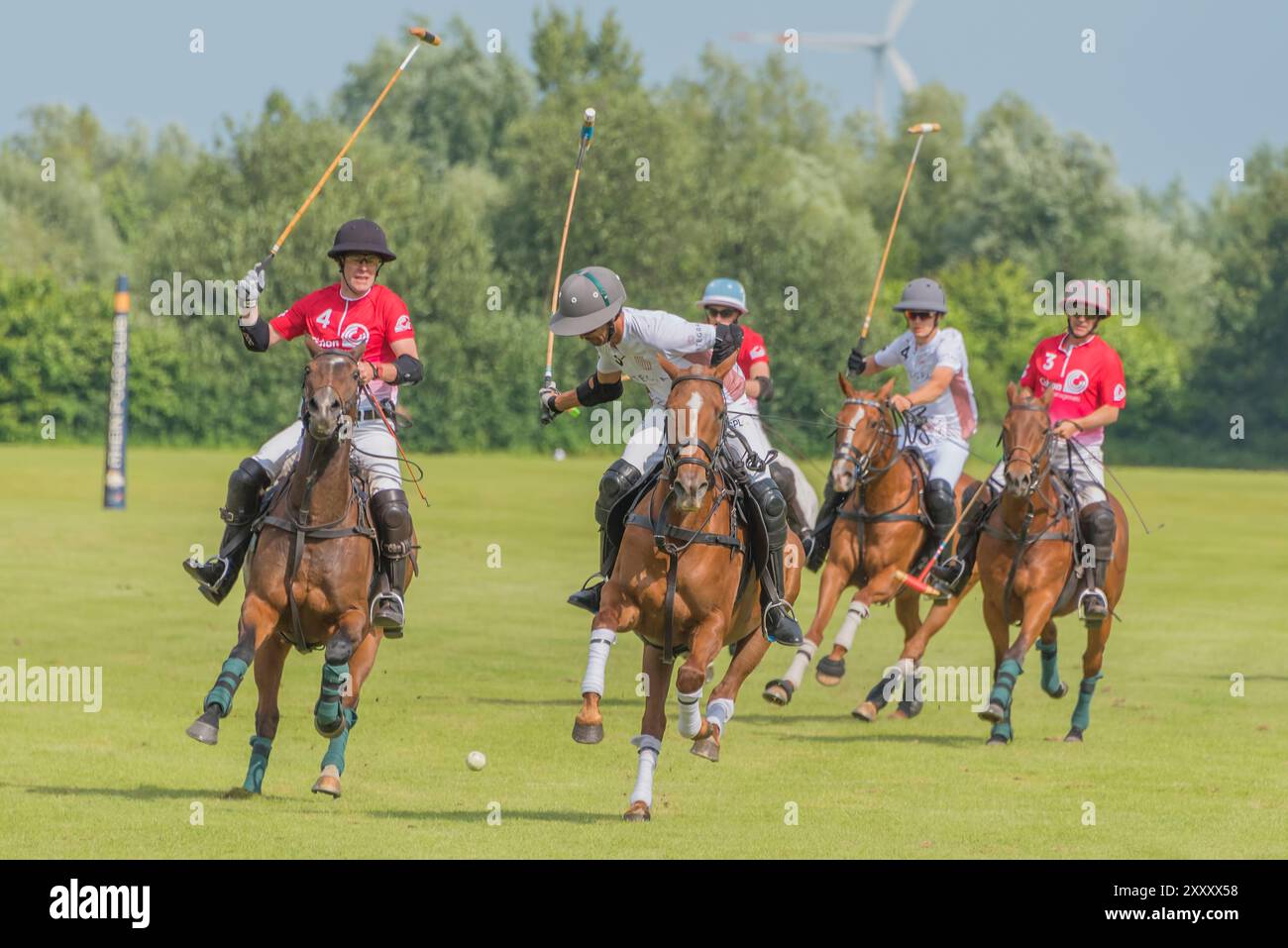 Joueurs de polo lors du tournoi 'Polo & Genussfestival' au Rhein Polo Club Düsseldorf, à Willich, Allemagne, juin 2024 Banque D'Images