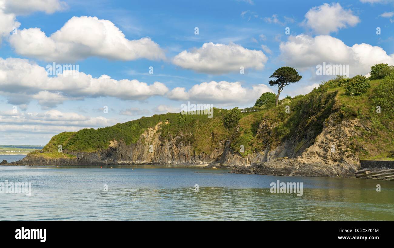 La côte du Pembrokeshire, vu de mcg-an-Eglwys, Dyfed, Wales, UK Banque D'Images