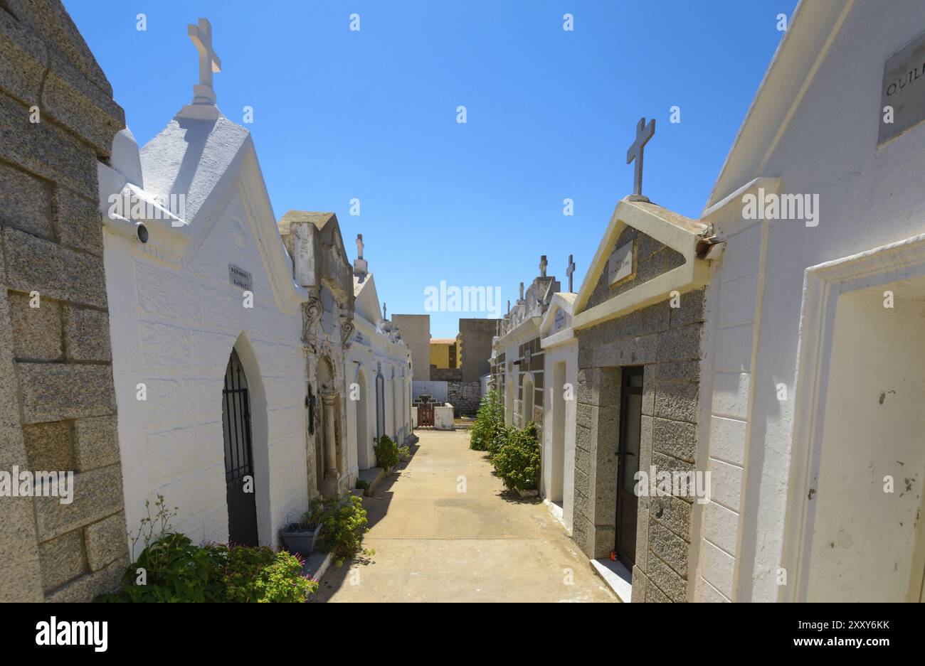 L'intérieur du cimetière marin de Bonifacio, Corse Banque D'Images