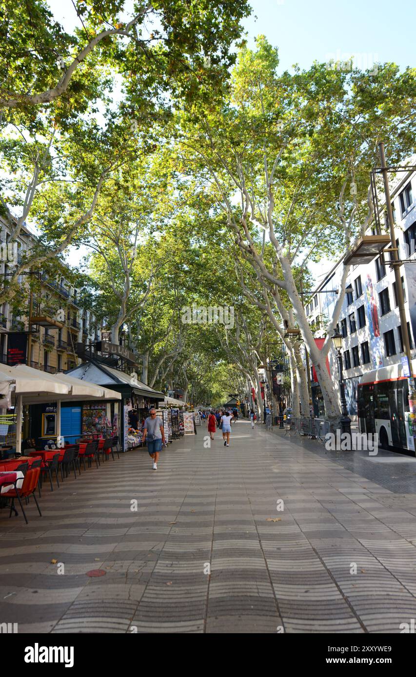Promenade tôt le matin sur le boulevard la Rambla à Barcelone, Espagne. Banque D'Images