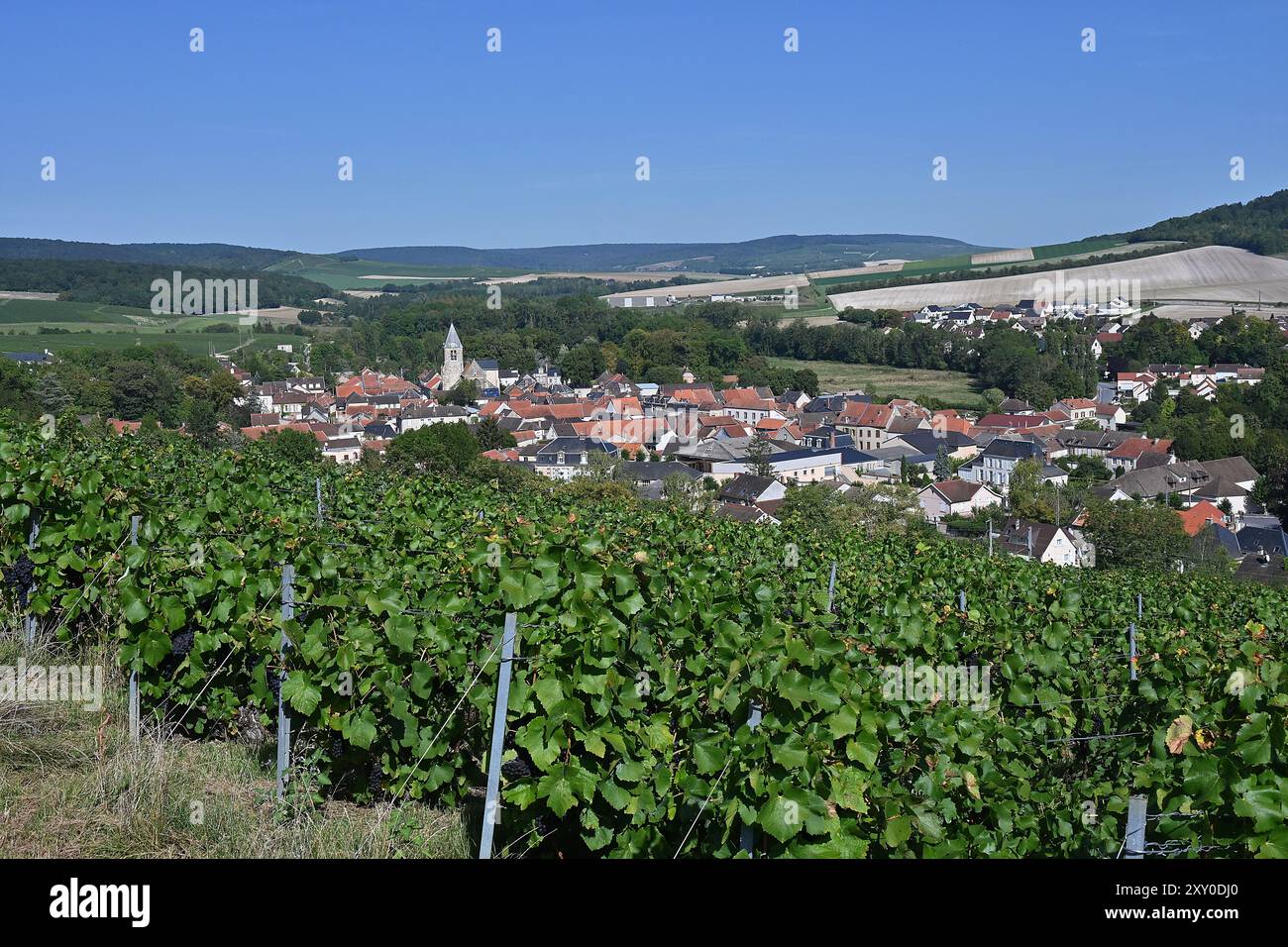 Avenay-Val-d'Or (Nord-est de la France) : village et vignoble de Champagne, au sud des montagnes de Reims, dans une vallée formée par le Livre. Banque D'Images Avenay-Val-d'Or (Nord-est de la France) : village et vignoble de Champagne, au sud des montagnes de Reims, dans une vallée formée par le Livre. Banque D'Images