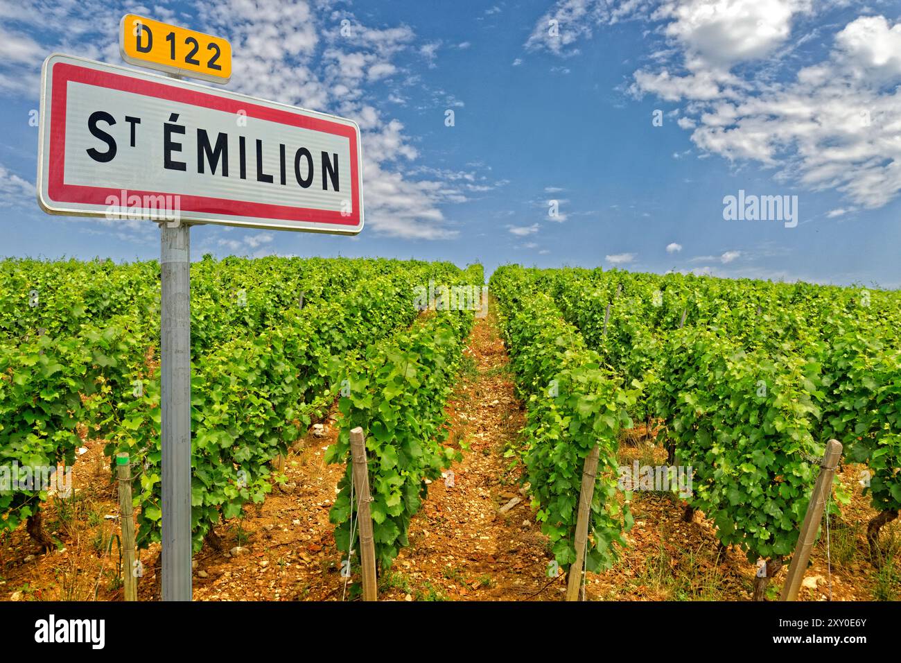 Vinyard at. Emilion dans la région bordelaise du Sud-Ouest de la France. Banque D'Images