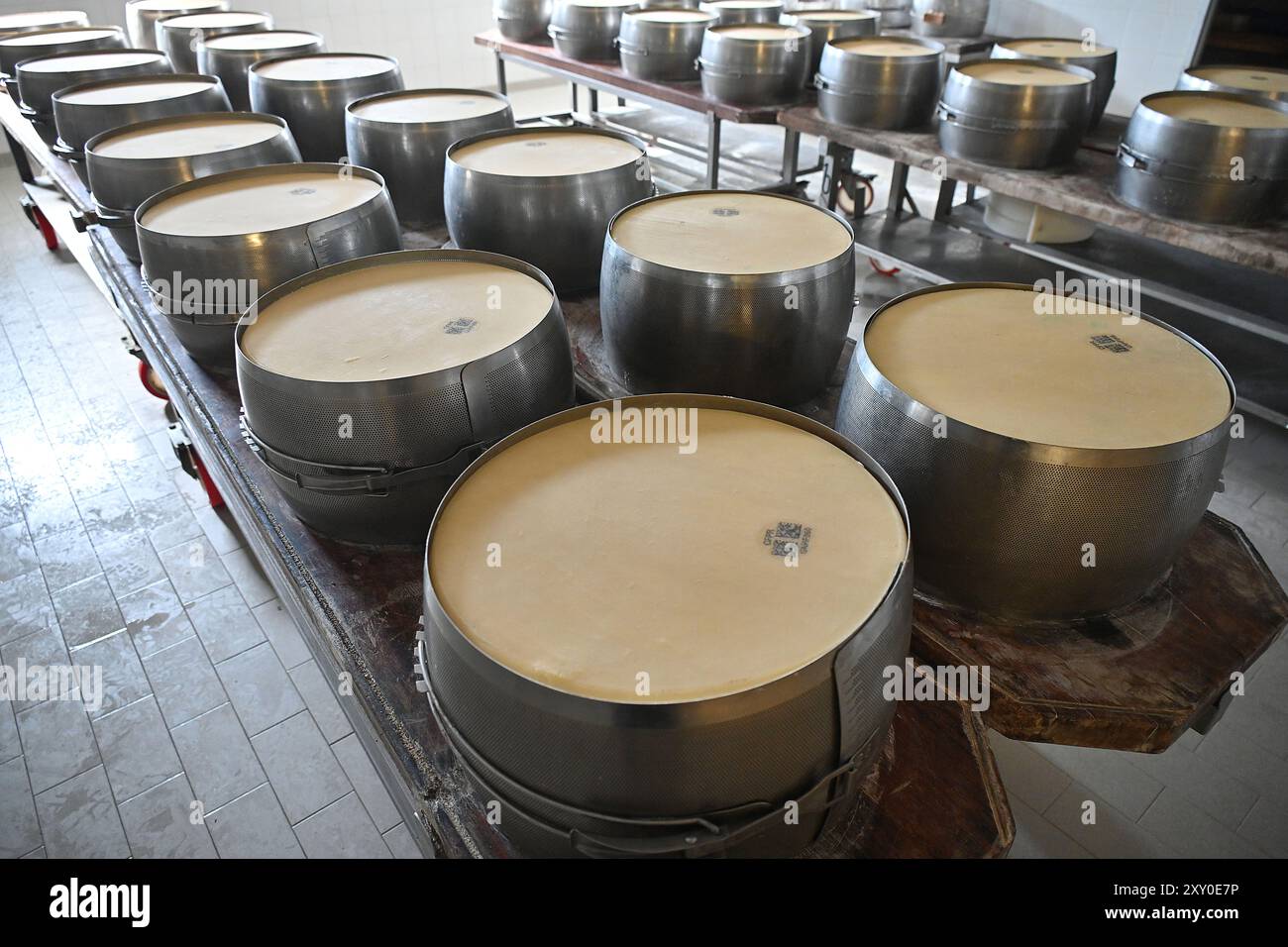 Italie, Émilie-Romagne : Castelvetro di Modena. Cooperativa San Silvestro, usine de parmesan créée en 1975, spécialisée dans la production de par Banque D'Images