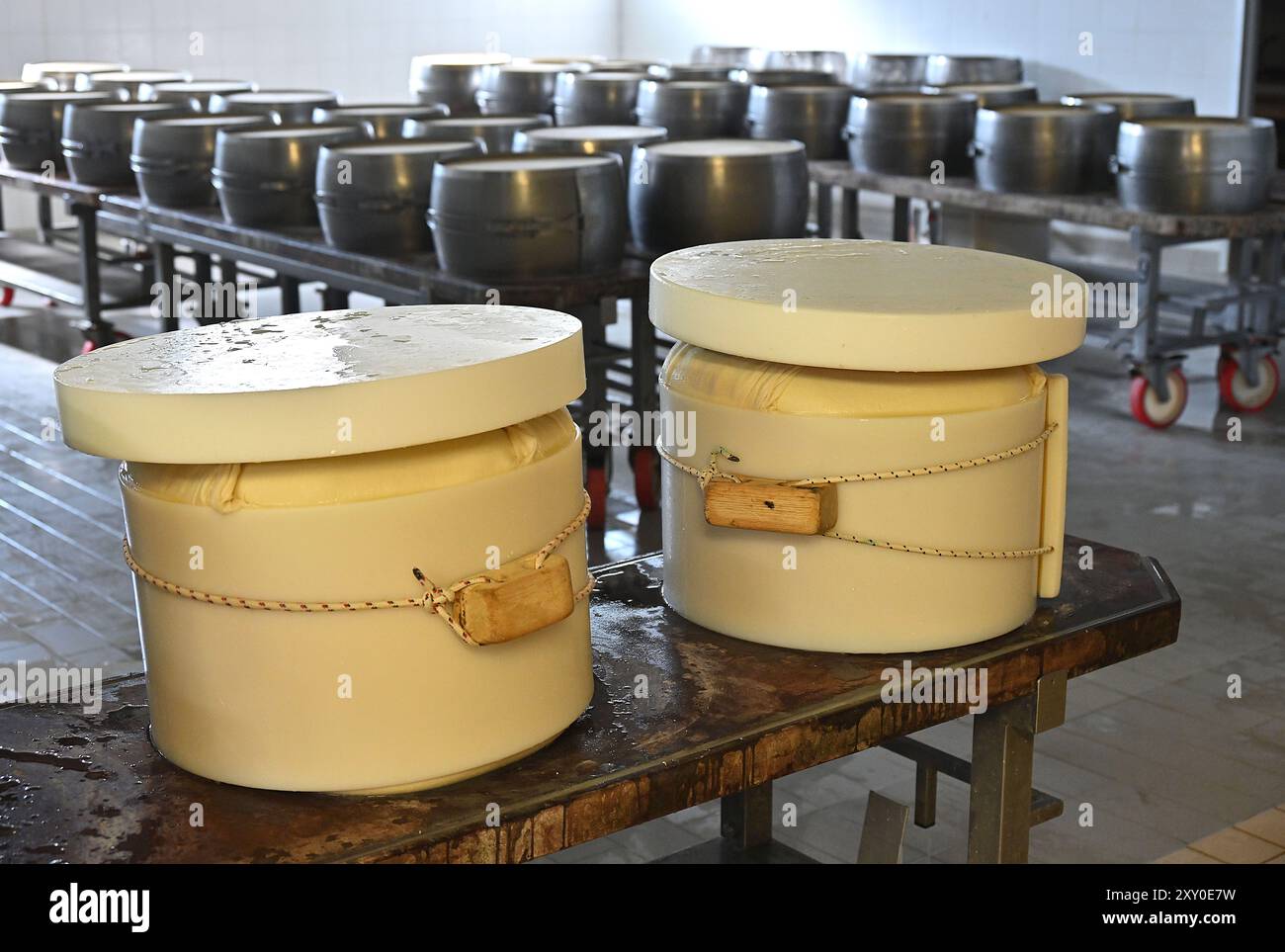 Italie, Émilie-Romagne : Castelvetro di Modena. Cooperativa San Silvestro, usine de parmesan créée en 1975, spécialisée dans la production de par Banque D'Images