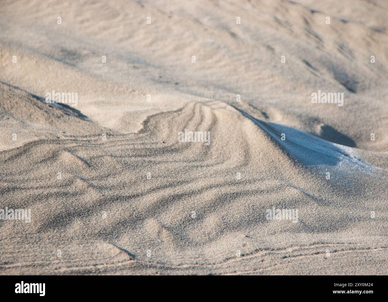 Dune dérivante au Danemark Banque D'Images