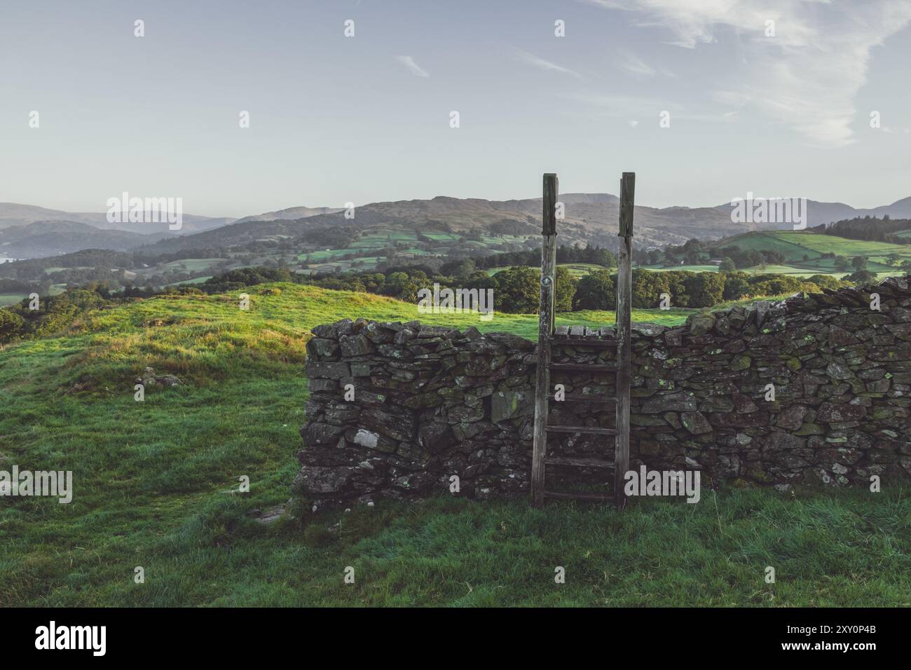 Un stile en bois au-dessus d'un mur traditionnel de pierre sèche dans le parc national du Lake District en Angleterre sur une belle matinée d'été ensoleillée avec des champs verdoyants. Banque D'Images