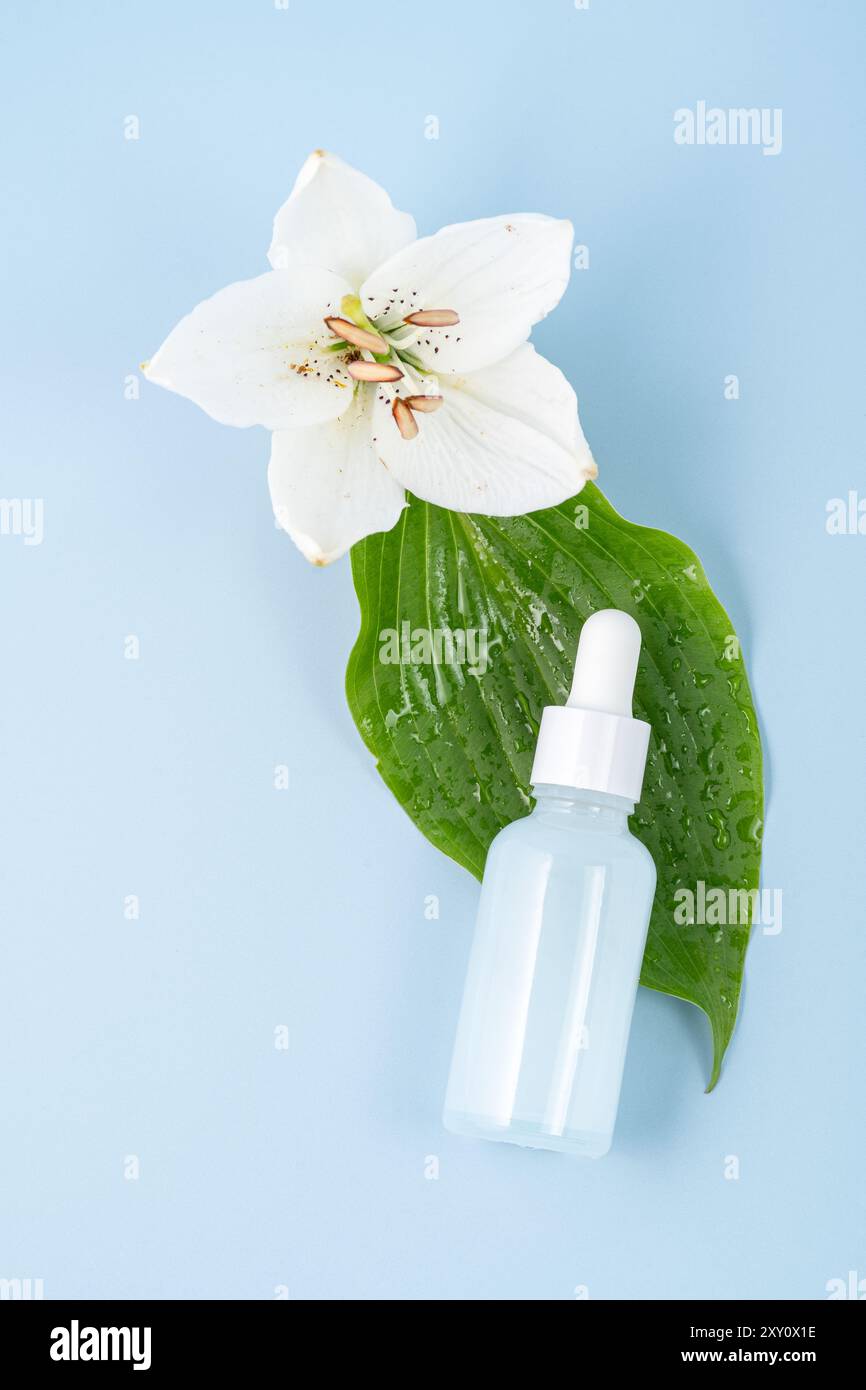 D'en haut une bouteille de sérum transparent avec un compte-gouttes repose à côté d'une fleur de lis blanc frais sur une feuille verte avec des gouttelettes, contre un dos bleu pastel doux Banque D'Images