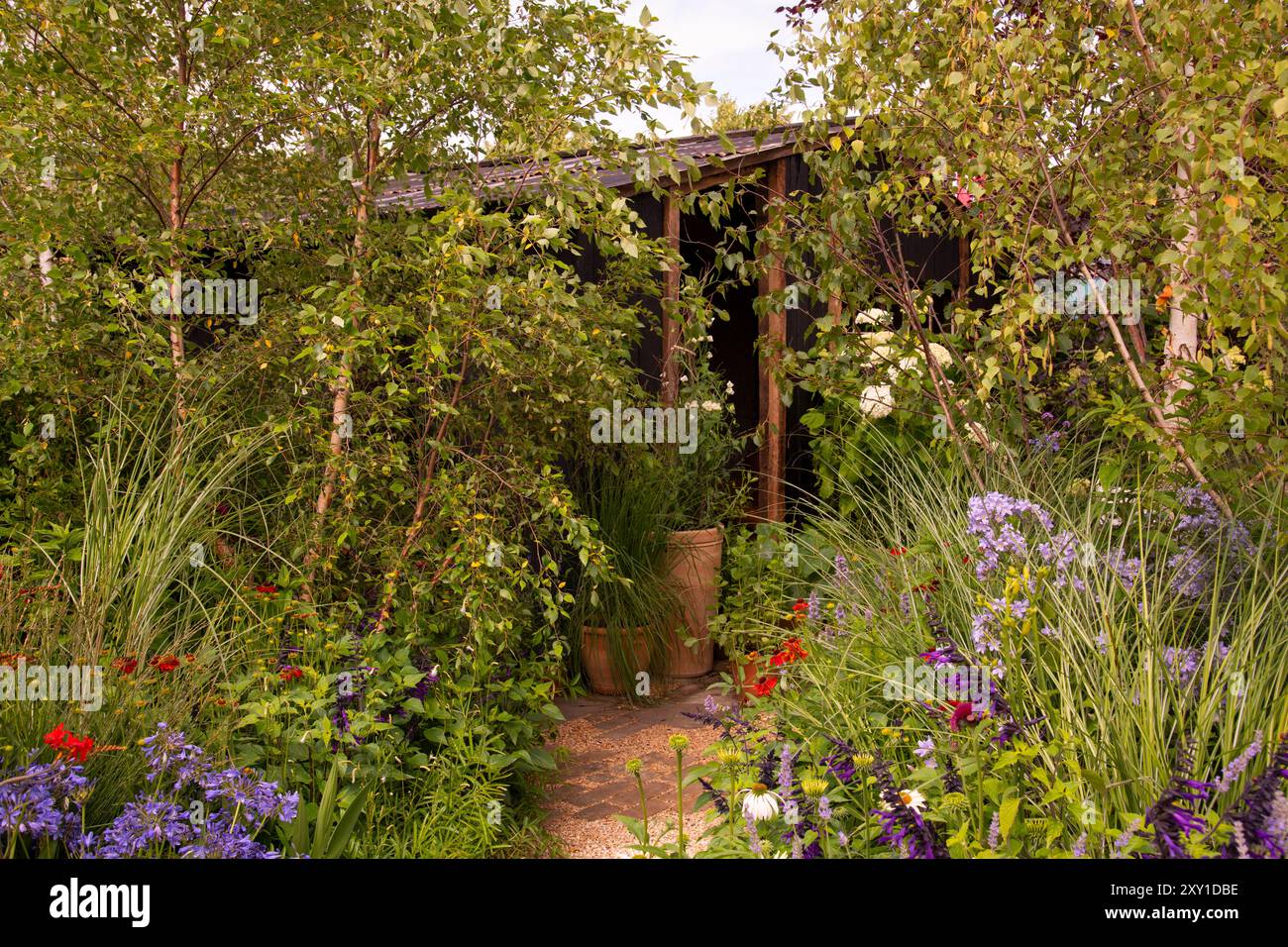 Arbres et herbes autour d'un hangar en bois fabriqué à partir de matériaux recyclés dans le jardin Money Saving. Designers : Anya Lautenbach et Jamie Butterworth. Banque D'Images