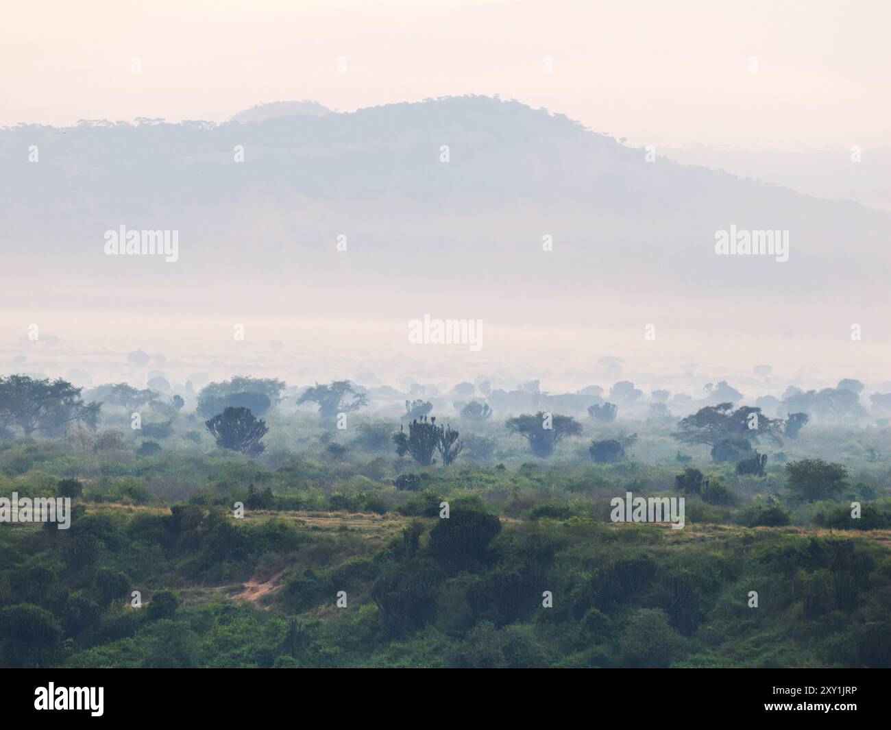 Vue sur les montagnes Rwenzori, parc national Queen Elizabeth, Ouganda Banque D'Images