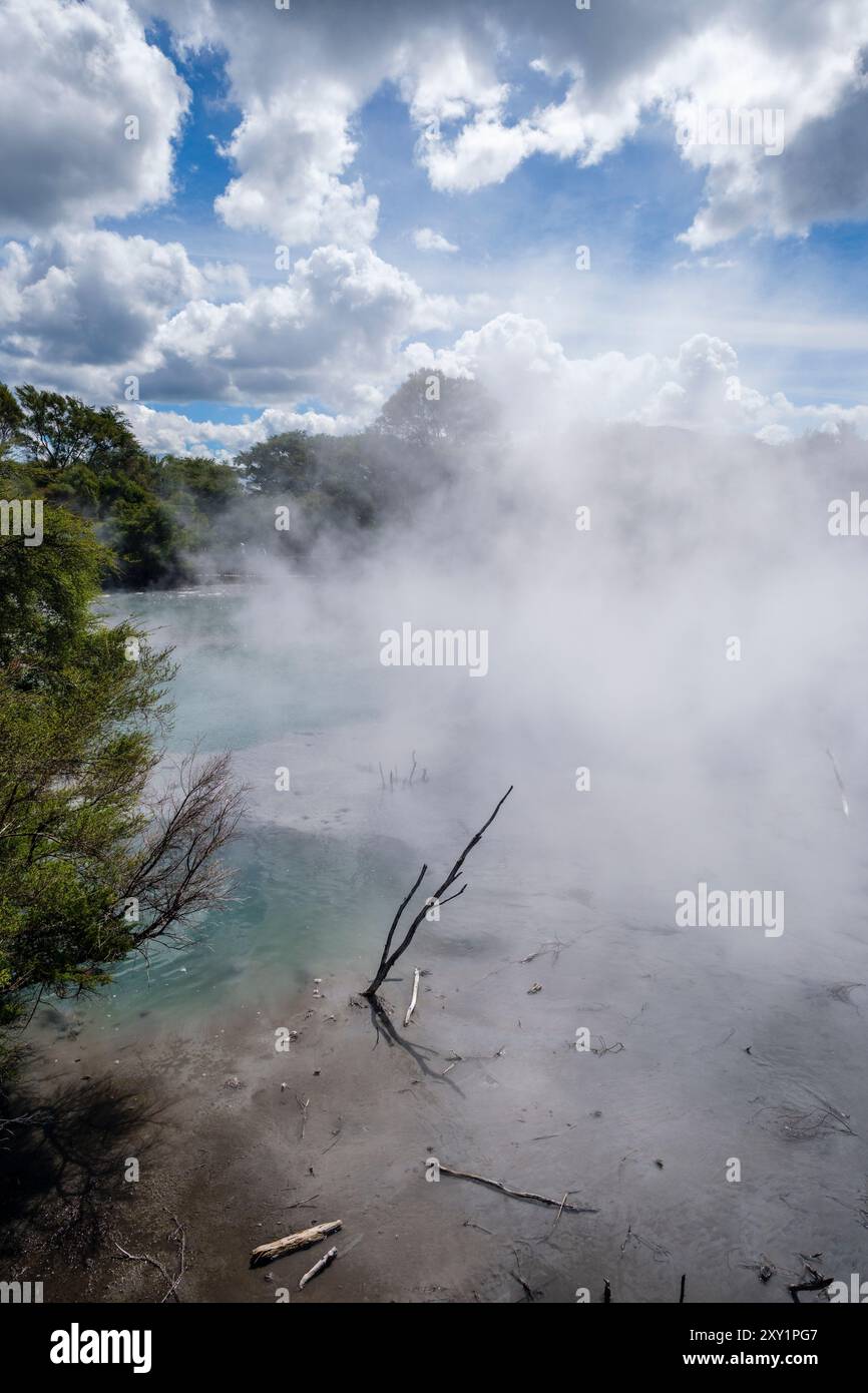 Piscines thermales dans le parc Kuirau, Rotorua, Île du Nord, Nouvelle-Zélande Banque D'Images