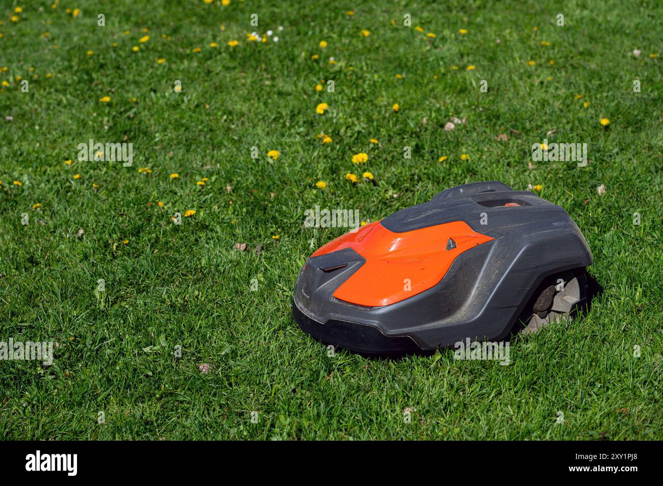 Robot tondeuse tondeuse taillant l'herbe dans un parc ensoleillé. Banque D'Images