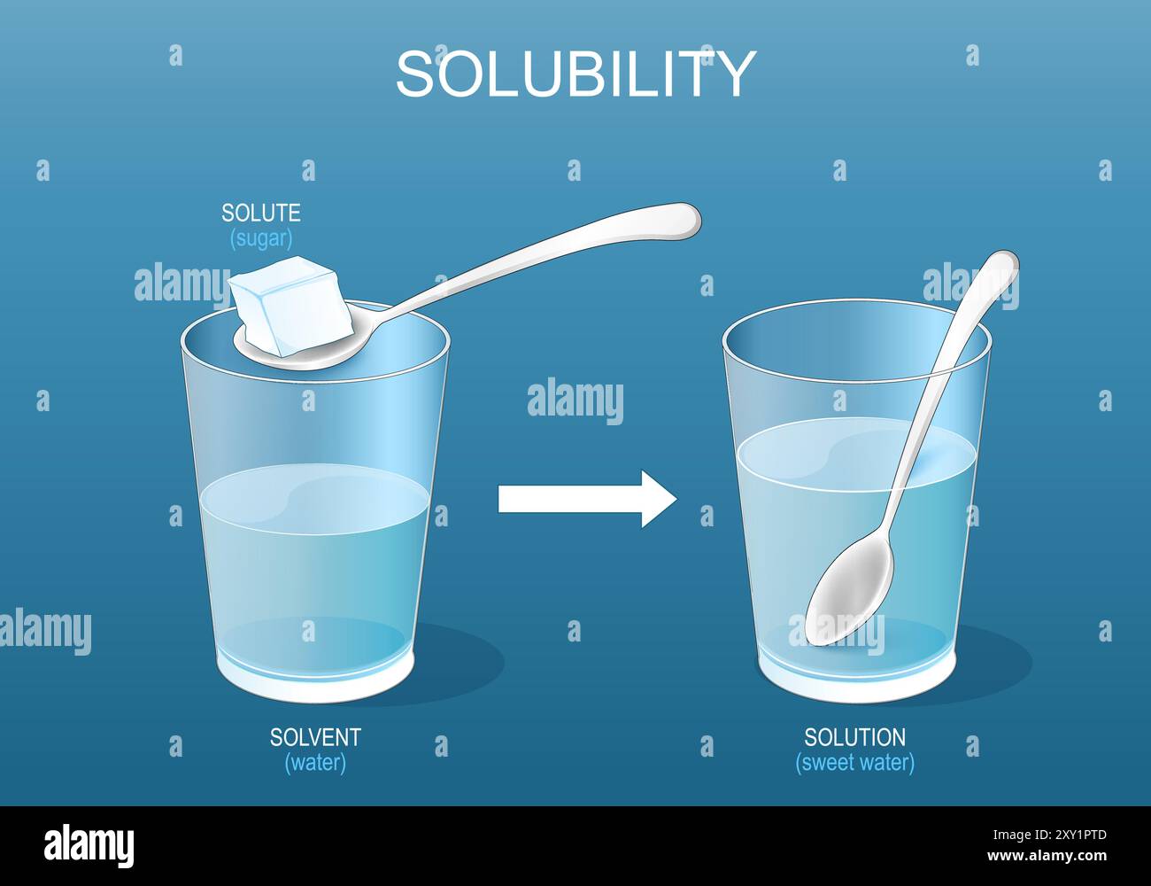 Solubilité. Solutions. Expérimentez avec du sucre et un verre d'eau. Faire un mélange de solution d'eau douce. Chimie. Mélange homogène. Poteau vectoriel Illustration de Vecteur