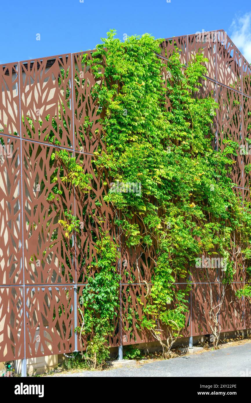 Criblage mural métallique décoratif soutenant la croissance des plantes - Neuvy-Saint-Sépulchre, Indre-(36), France. Banque D'Images