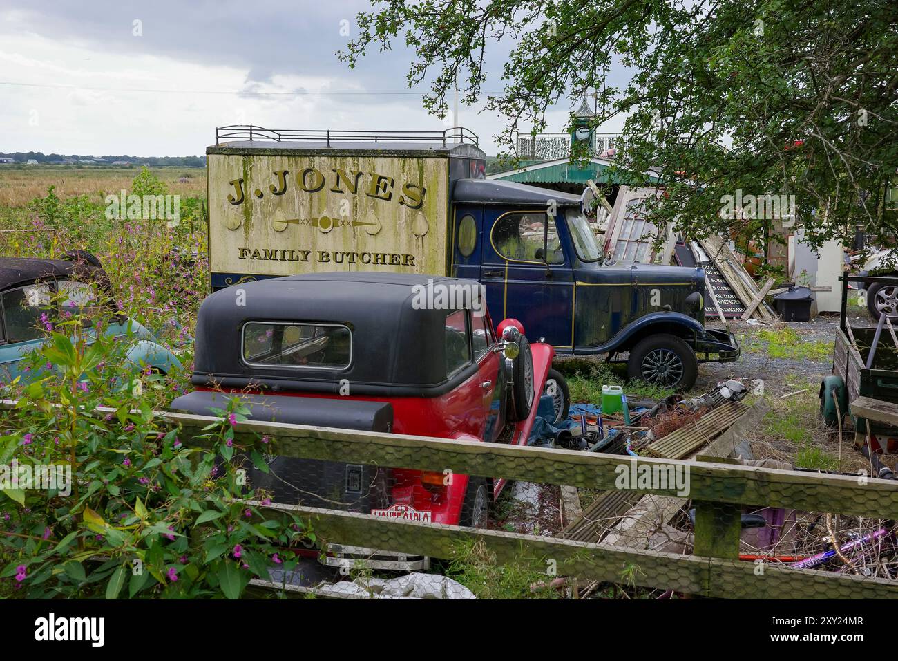 Irlam, Manchester, Royaume-Uni, août 26, 2024:vieux véhicules vintage dans une casse rurale entourée de verdure et de fleurs sauvages. Banque D'Images