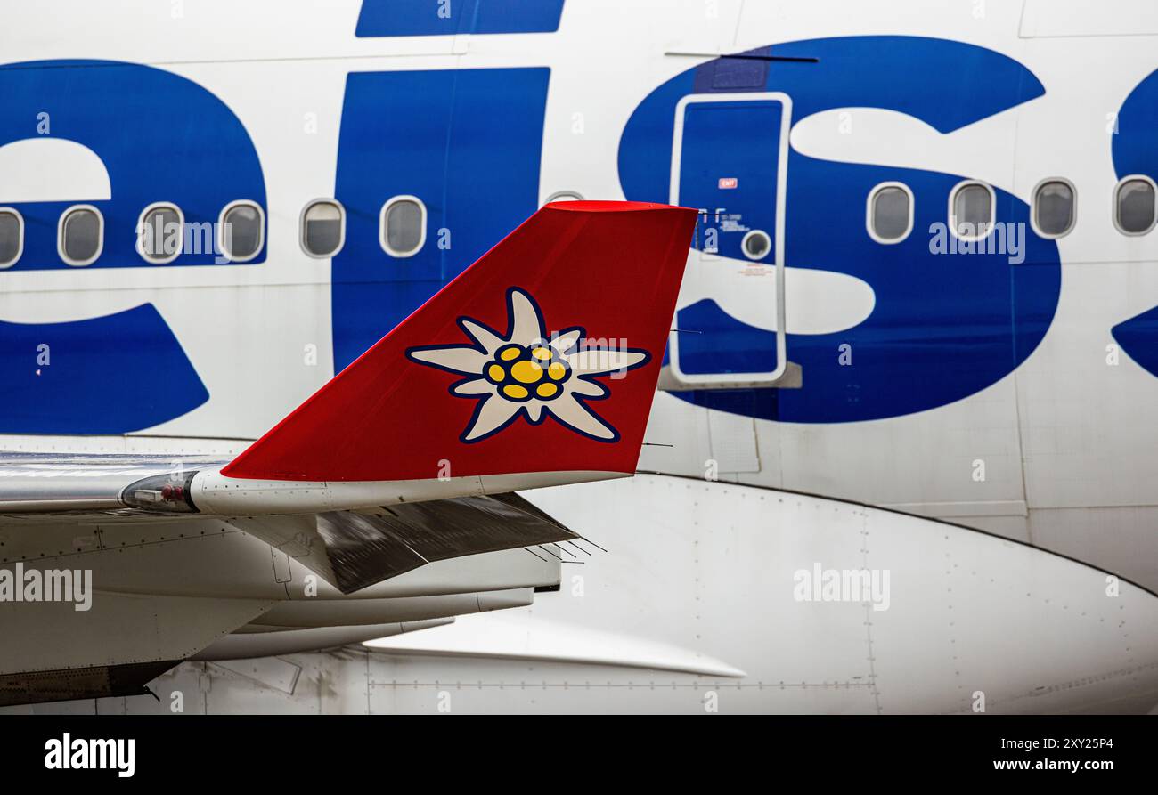 Edelweiss symbole beim Flugzeugflügel eines Airbus A340-313X von Edelweiss Air auf dem Flughafen Zürich. Enregistrement des Flugzeugs HB-JME. (Zürich, SC Banque D'Images