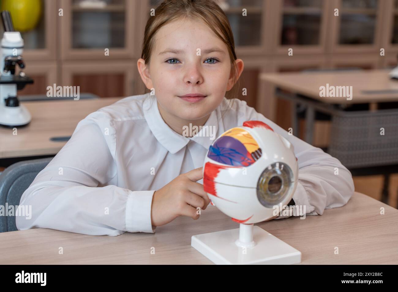 Une écolière étudie un modèle anatomique de l'œil dans une salle de classe de l'école tout en étant assise à son bureau. Photo de haute qualité Banque D'Images