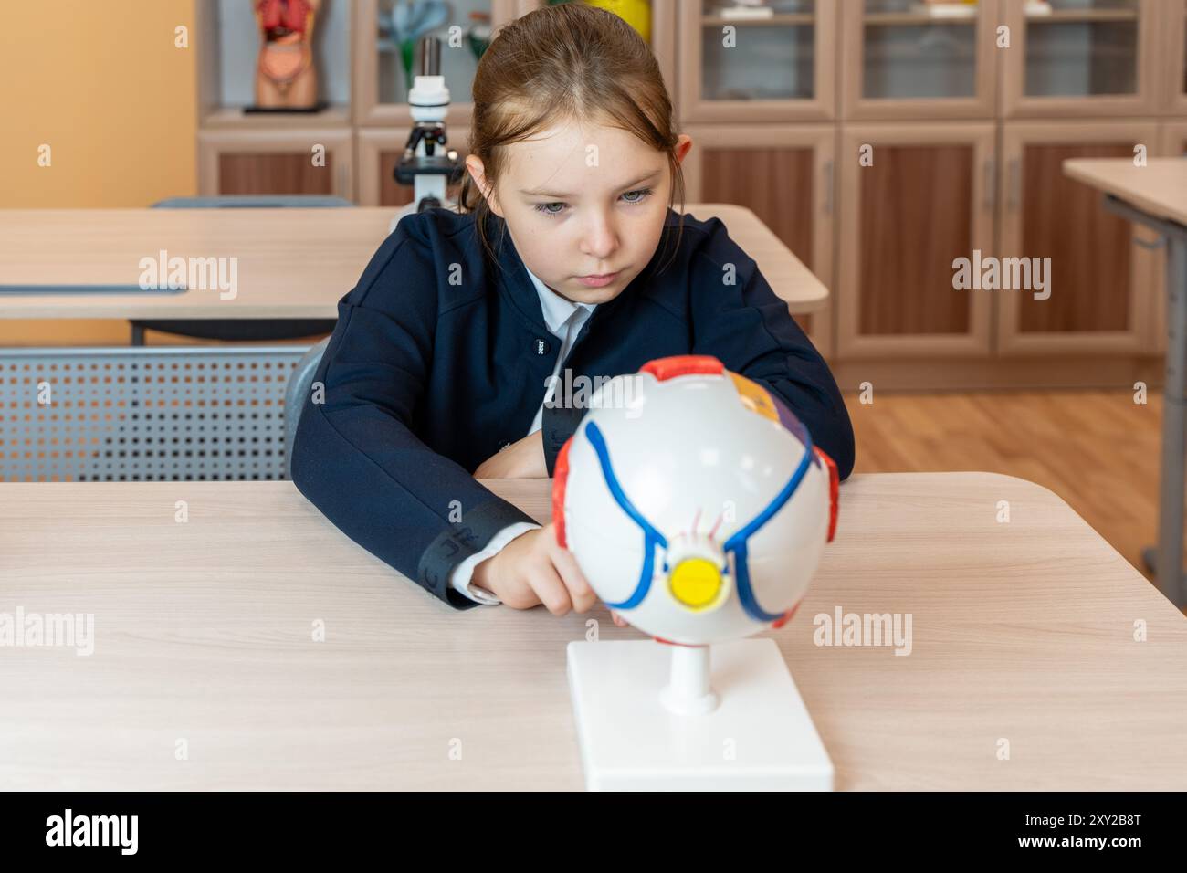 Une écolière étudie un modèle anatomique de l'œil dans une salle de classe de l'école tout en étant assise à son bureau. Photo de haute qualité Banque D'Images